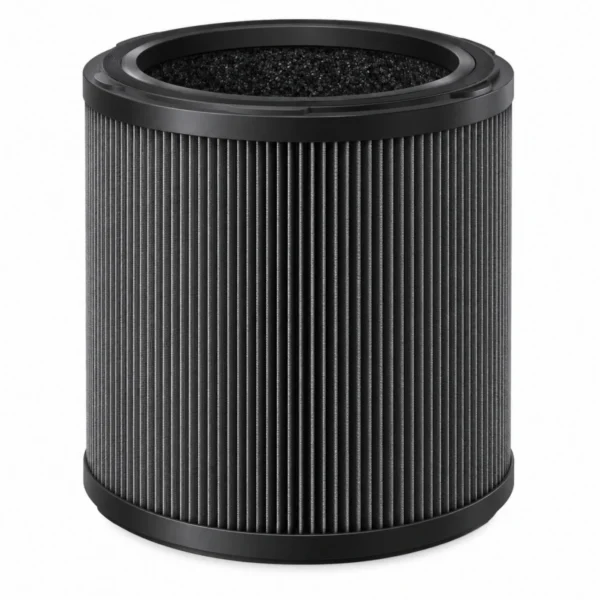 Dyson Big Quiet Hepa Carbon Filter