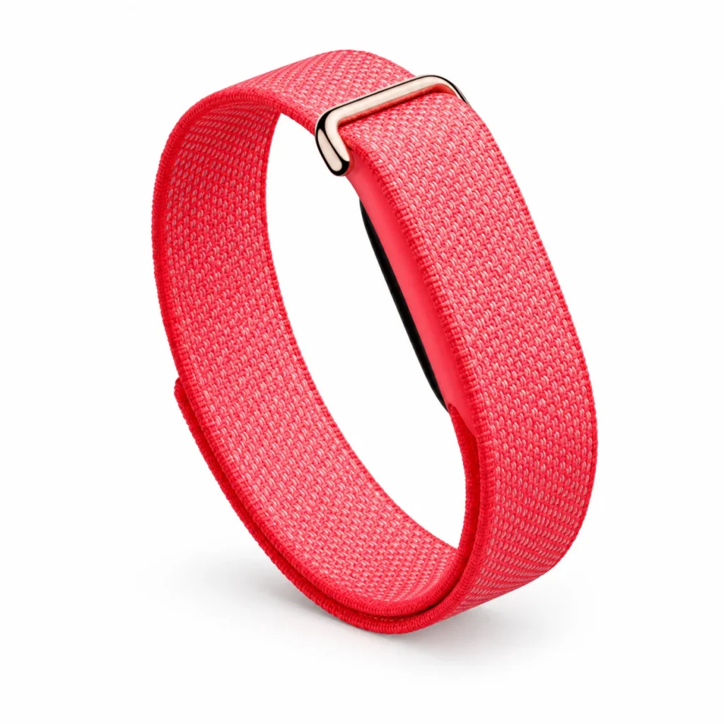 Google Fitbit Air Berry
