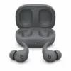 Beats Powerbeats Fit Gray