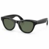 Ray-Ban Meta Skyler RW4010 Shiny Black/G15 Green